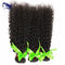 Kinky Curly Virgin Indian Hair Extensions Micro Weft 8A Grade Hair supplier