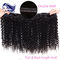Unprocessed Virgin Malaysian Hair Weave Kinky Curly Double Drawn supplier