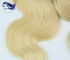Blonde Human Hair Extensions supplier