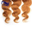 Colorful Human Hair Extensions For Girls , Colored Real Hair Extensions supplier