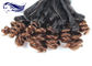 Aunty Funmi Human Hair Ombre Spring Curly 8 &quot; - 22 &quot; Double End supplier