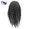 Synthetic Short Human Hair Full Lace Wigs For Black Women , Swiss Lace supplier